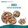 Mushroom Logs Factory Supplying to Farmers Across the Countr