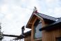 Expert Roof Repairs in Adelaide