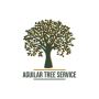 Your Trusted Tree Service in Shreveport, LA & Nearby