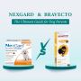 Choosing Between Nexgard vs Bravecto for Your Dog