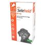 Selehold for Small Dogs (Brown Pack) | DiscountPetCare