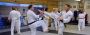 Best karate schools in Florida