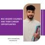 BSc Degree Courses and Their Career Opportunities