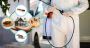Pest Control Prices & Removal Near You