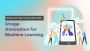 Enhance AI Accuracy with Expert Data Annotation Services