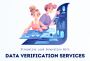 Ensure Data Accuracy with Expert Verification Services