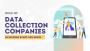 Streamline Your Business with Expert Data Collection Service