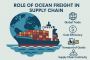 Role of Ocean Freight in Supply Chain