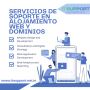 Soporte en Alojamiento Web y Dominios | Soluciones Técnicas 