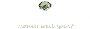 Comprehensive Accounting & Small Business Tax Services in Ak