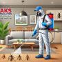 Best pest control services in Delhi NCR