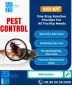 Best pest control services in IMT Manesar & Delhi NCR