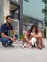 Domestic Pet Transportation service in India 