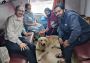 Pet Travel via Train 