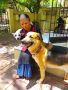 Pet Relocation Services in Chennai
