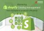 How to orgnaize products efficiently using shopify catalog m