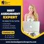 Assignment Expert