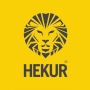 Retractable Sliding Roof India: Hekur India