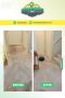 Excellent Carpet Cleaning In Las Vegas NV
