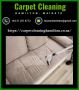 Most famous couch cleaning professional in Hamilton, NZ Most famous couch cleaning professional in Hamilton, NZ