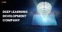 Deep Learning Development Company Deep Learning Development Company