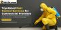 Top-Rated Pest Control Services for Commercial Premises