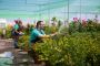 All Season Garden Commercial Contracting Services