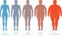BMI Chart for understanding of BMI Levels