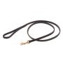 Enhance Your Dog's Style with Braided Show Snap Leads