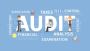 Searching for Professional Audited Financial Statements in t