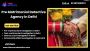 Trusted Pre Matrimonial Detective Agency in Delhi 