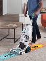 Refresh Your Home with Carpet Cleaning Experts in North Bris