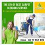 Your Trusted Local Carpet Cleaner in Pimpama 