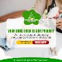 Professional Mattress & Carpet Cleaning Services in Logan 