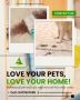 Best Mattress & Carpet Cleaning Service in North Brisbane