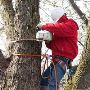 Tree Company in NJ – Your Trusted Tree Care Experts