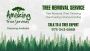 Lot Clearing NJ – Amazing Tree Services