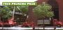 Tree Pruning in NJ – Amazing Tree Services