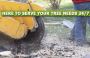 Stump Grinding NJ – Amazing Tree Services