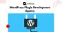 Custom WordPress Plugin Development Agency | QeWebby