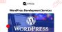 WordPress Development Services | QeWebby