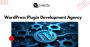 Hire Expert WordPress Plugin Developers