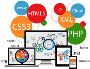 Web Portal Development | Ambesoft Technology