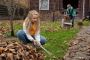 Expert Services for Garden Clearance | Ambition Services LTD