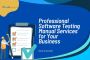 Professional Software Testing Manual Services for Business
