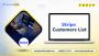 Stripe Customers List: Streamline Your B2B Campaigns