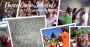Dance Camps That Spark Joy & Talent – Now Enrolling!