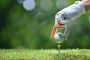 Golf School Golf School