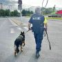 K9 Unit Security Services Malaysia | Trained Security Dog