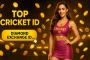 Join India’s Hottest Cricket Platforms – Tiger Exchange 247